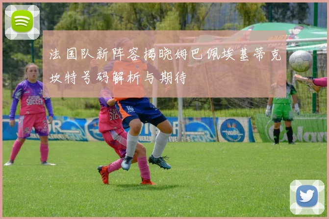 法国队新阵容揭晓姆巴佩埃基蒂克坎特号码解析与期待