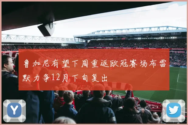 鲁加尼有望下周重返欧冠赛场布雷默力争12月下旬复出