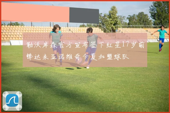 勒沃库森官方宣布签下红星17岁前锋达米亚诺维奇今夏加盟球队
