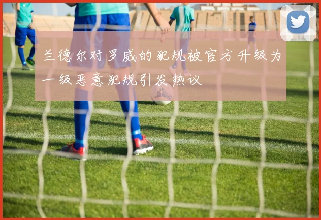 兰德尔对罗威的犯规被官方升级为一级恶意犯规引发热议